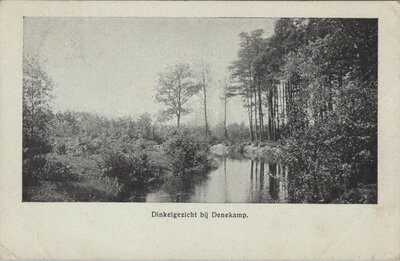 DENEKAMP - Dinkelgezicht bij Denekamp