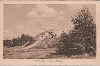 DENEKAMP - In het Lutterzand