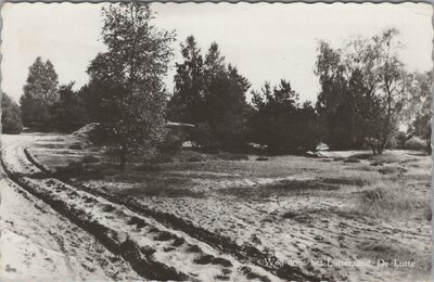 DE LUTTE - Weg door het Lutterzand