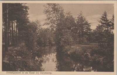 DENEKAMP - in de Riest bij Denekamp