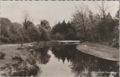 DENEKAMP - Dinkel Lutterzand bij Denekamp