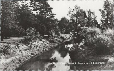 DE LUTTE - Dinkel vanaf Kribbenbrug 't Lutterzand