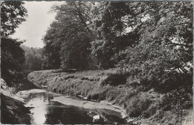 DENEKAMP - Hotel Dinkeloord