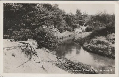 DENEKAMP - Dinkel in het Lutterzand