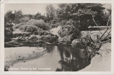 DENEKAMP - Dinkel in het Lutterzand