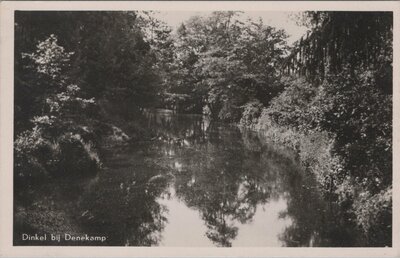 DENEKAMP - Dinkel bij Denekamp