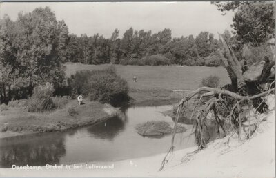 DENEKAMP - Dinkel in het Lutterzand