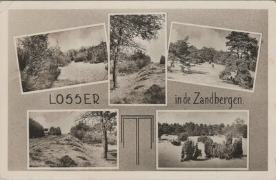 LOSSER - Meerluik in de Zandbergen