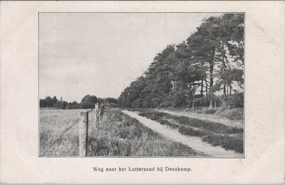 DENEKAMP - Weg naar het Lutterzand bij Denekamp