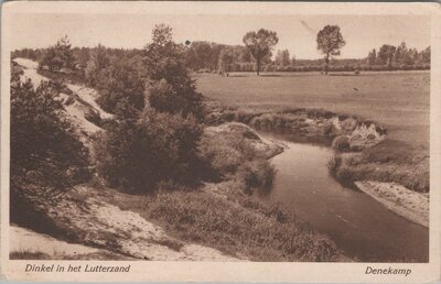 DENEKAMP - Dinkel in het Lutterzand