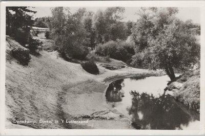 DENEKAMP - Dinkel in 't Lutterzand