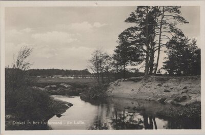 DE LUTTE - Dinkel in het Lutterzand