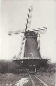 VARIK - Molen