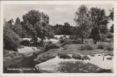 DENEKAMP - Dinkel in 't Lutterzand