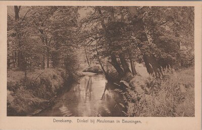 DENEKAMP - Dinkel bij Meuleman in Beuningen