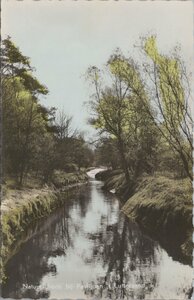 LUTTERZAND - Natuurschoon bij Paviljoen