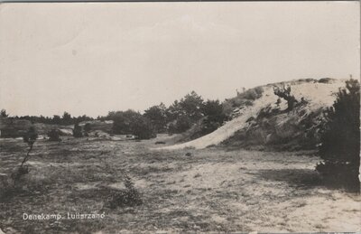 DENEKAMP - Lutterzand