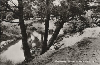 DENEKAMP - Dinkel in het Lutterzand