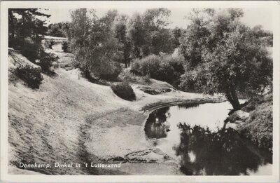 DENEKAMP - Dinkel in 't Lutterzand