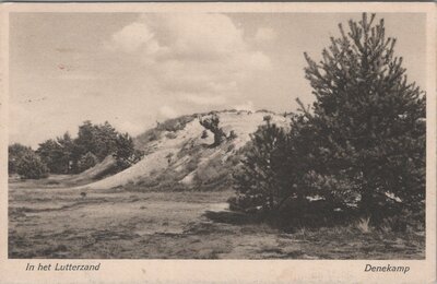 DENEKAMP - In het Lutterzand