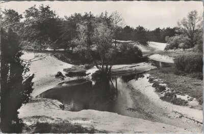 LUTTERZAND - De Dinkel bij het Paviljoen 't Lutterzand