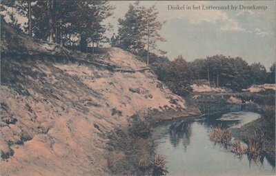 LUTTERZAND - Dinkel in het Lutterzand by Denekamp