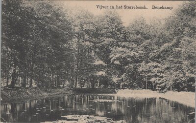 DENEKAMP - Vijver in het Sterrebosch