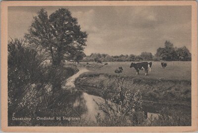 DENEKAMP - Omdinkel bij Singraven