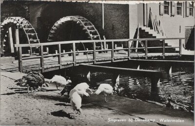 DENEKAMP - Singraven bij Denekamp, Watermolen