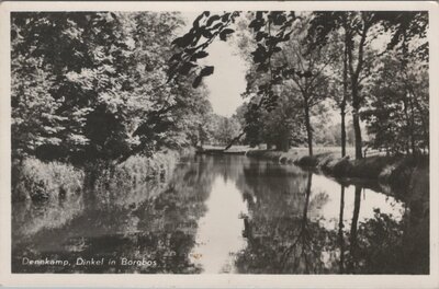 DENEKAMP - Dinkel in Borgbos