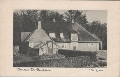 DE LUTTE - Boerderij De Boschkamp