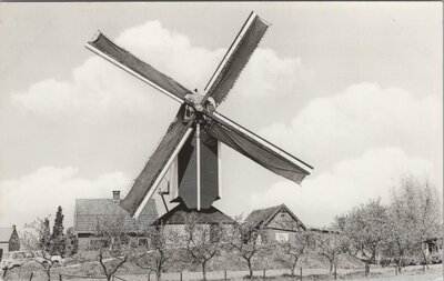 HERVELD - Korenmolen