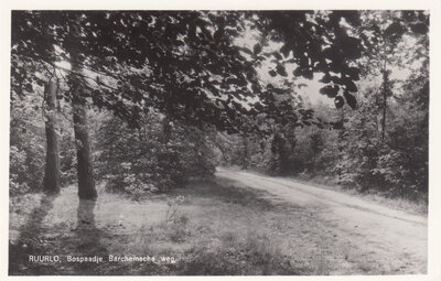 RUURLO - Bospaadje Barchemsche weg