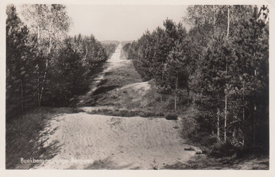 BEEKBERGEN - Lage Bergweg