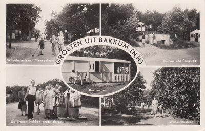 BAKKUM (N. H.) - Meerluik Groeten uit Bakkum (N.H.)