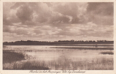 DENEKAMP - Heiplas in het Beuninger Veld bij Denekamp