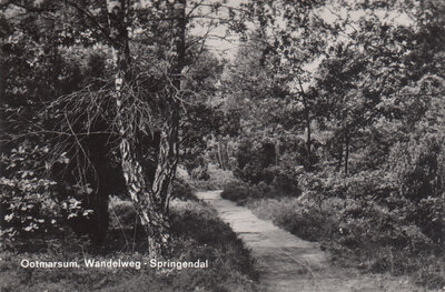 OOTMARSUM - Wandelweg - Springendal