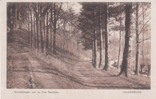 VALKENBURG - Wandelwegen aan de Drie Beeldjes