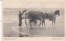 KATWIJK AAN ZEE - Schelpenvisscher