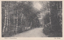 DE STEEG - Weg n.d Rouwenberg