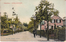 APELDOORN - Koppellaan