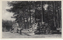 APELDOORN - Suikerberg Berg en Bosch