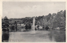 APELDOORN - Berg en Bos