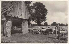 TWENTE - Twents Landschap