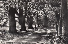 DOORWERTH - Italiaanseweg