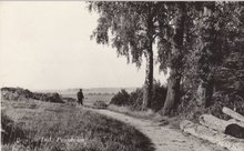 BERG EN DAL - Panorama