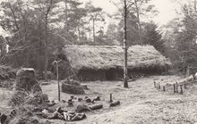 OLDEBROEK - Utrechts Buitencentrum