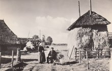 ELSPEET - Boerderij Groeten uit Elspeet