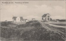 NOORDWIJK AAN ZEE - Panorama in de Duinen