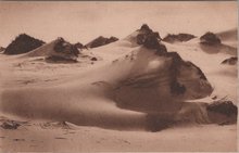 BERGEN - SCHOORL De Meeuwenlekken in de Duinen